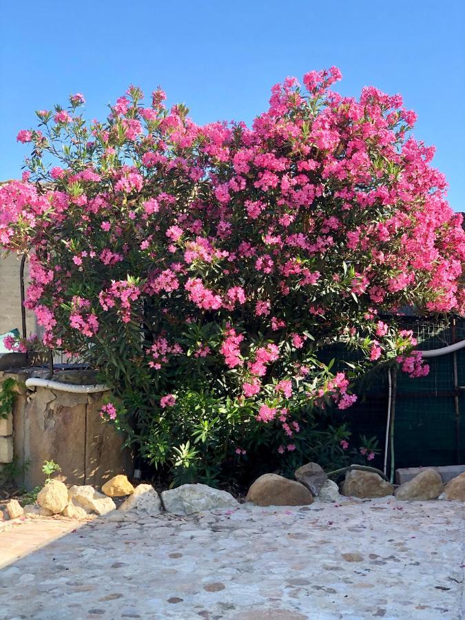 Agrialma Hotel Agrigento Luaran gambar